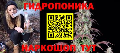 стаф Моздок