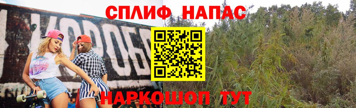Конопля план Бугуруслан